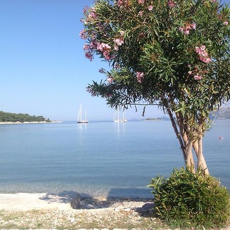 Apartment Biserka Cavtat Δωμάτιο φωτογραφία